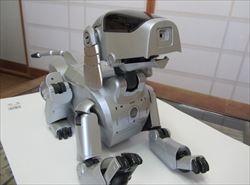 AIBO ɎtƂ