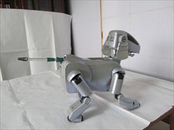 AIBO