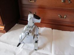 AIBO